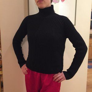 Everlane Ribbed Turtleneck Sweater